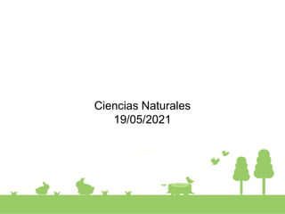 Ciencias Naturales
19/05/2021
 