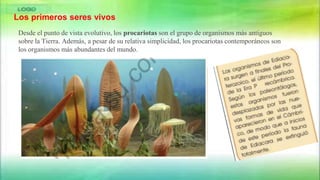 Los primeros seres vivos
Desde el punto de vista evolutivo, los procariotas son el grupo de organismos más antiguos
sobre la Tierra. Además, a pesar de su relativa simplicidad, los procariotas contemporáneos son
los organismos más abundantes del mundo.
 