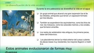 La diversificación de la vida acuática
Durante la era paleozoica se diversificó la vida en el agua
❏ Un grupo animal que alcanzó una gran expansión fue el de
los trilobites, artrópodos que tenían un caparazón formado
por tres lóbulos.
❏ También se expandieron los equinodermos, como los lirios de
mar; los moluscos, como los caracoles marinos; y los corales,
que formaron arrecifes.
❏ Los restos de vertebrados más antiguos, los primeros peces,
datan del Ordovícico.
Estos animales evolucionaron de formas muy
❏ Los placodermos tenían la mitad anterior del cuerpo cubierta
de placas óseas muy resistentes; los mayores llegaron a medir
8 m
 
