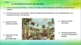 La diversificación de la vida terrestre
❏ Hacia el período carbonífero, la vida en el medio terrestre estaba bien asentada y progresaba con
rapidez.
❏ En torno a los ríos y los pantanos :selvas de helechos arborescentes, como Lepidodendron, con
un aspecto similar a una palmera.
❏ Artrópodos gigantes y
una gran diversidad de
anfibios
❏ Aparecieron los
primeros reptiles.
❏ Expansión de las
primeras
gimnospermas
❏ Aparición de los
mamíferos
 