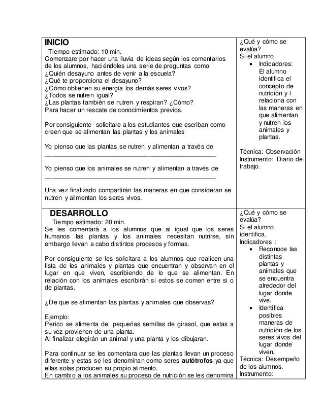 Porque Las Plantas Se Nutren De Diferentes Maneras Esta
