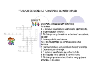 TRABAJO DE CIENCIAS NATURALES QUINTO GRADO 