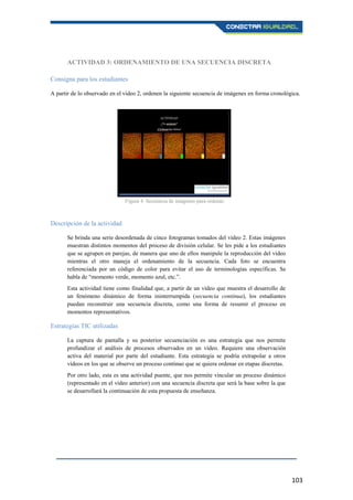 103
ACTIVIDAD 3: ORDENAMIENTO DE UNA SECUENCIA DISCRETA
Consigna para los estudiantes
A partir de lo observado en el vídeo 2, ordenen la siguiente secuencia de imágenes en forma cronológica.
Descripción de la actividad
Se brinda una serie desordenada de cinco fotogramas tomados del vídeo 2. Estas imágenes
muestran distintos momentos del proceso de división celular. Se les pide a los estudiantes
que se agrupen en parejas, de manera que uno de ellos manipule la reproducción del vídeo
mientras el otro maneja el ordenamiento de la secuencia. Cada foto se encuentra
referenciada por un código de color para evitar el uso de terminologías específicas. Se
habla de “momento verde, momento azul, etc.”.
Esta actividad tiene como finalidad que, a partir de un vídeo que muestra el desarrollo de
un fenómeno dinámico de forma ininterrumpida (secuencia continua), los estudiantes
puedan reconstruir una secuencia discreta, como una forma de resumir el proceso en
momentos representativos.
Estrategias TIC utilizadas
La captura de pantalla y su posterior secuenciación es una estrategia que nos permite
profundizar el análisis de procesos observados en un vídeo. Requiere una observación
activa del material por parte del estudiante. Esta estrategia se podría extrapolar a otros
vídeos en los que se observe un proceso continuo que se quiera ordenar en etapas discretas.
Por otro lado, esta es una actividad puente, que nos permite vincular un proceso dinámico
(representado en el vídeo anterior) con una secuencia discreta que será la base sobre la que
se desarrollará la continuación de esta propuesta de enseñanza.
Figura 4. Secuencia de imágenes para ordenar.
 