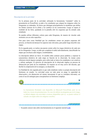 106
Descripción de la actividad
En la primera parte de la actividad, utilizando la herramienta “rotulador” sobre la
presentación en PowerPoint, se pide a los estudiantes que calquen las imágenes sobre los
fotogramas ya ordenados. Se busca que distingan principalmente la membrana que define
los límites externos de la célula y los cambios en los cromosomas. Luego se separa el
resaltado de las fotos, quedando en la pantalla sólo los esquemas que ha armado cada
estudiante.
Se pueden utilizar diferentes colores para cada fotograma, de manera de vincular cada
momento con un color específico.
Este paso tiene como finalidad que los estudiantes armen sus propios esquemas del
proceso, en función de destacar los aspectos más relevantes, para poder luego describir esas
etapas.
En la segunda parte, se realiza una puesta común sobre los rasgos distintivos de cada uno
de los fotogramas. Luego, se pide que completen la tabla individualmente, describiendo las
etapas que involucra cada imagen y nombrándolas.
La descripción deberá ser breve. El nombre debe contener pocas palabras y expresar la
característica distintiva de cada etapa en función de lo observado. Se toman como
referencia inicial algunos ejemplos, pero sobre todo se insta a los estudiantes a ser creativos
y utilizar analogías. El ejercicio de descripción de lo observado implica un proceso de
abstracción por parte de los estudiantes. Se requiere un rol muy activo del docente, que
facilite la comprensión de la consigna y su desarrollo.
La finalidad de esta segunda parte es que cada estudiante realice su propia descripción del
fenómeno en estudio. La actividad como un todo pone en juego la capacidad de
observación y de abstracción (al retener únicamente lo que se considera relevante), así
como el uso de analogías para conceptualizar un fenómeno complejo.
La herramienta Rotulador está disponible en Microsoft PowerPoint, pero no en
todos los visores de presentaciones. En caso de utilizar un programa que no lo tenga,
se deberá adaptar esta actividad a recursos disponibles (por ej.: se puede realizar el
calcado con algún editor de imágenes sencillo).
Se puede conocer más sobre esta herramienta en el siguiente tutorial Link
 