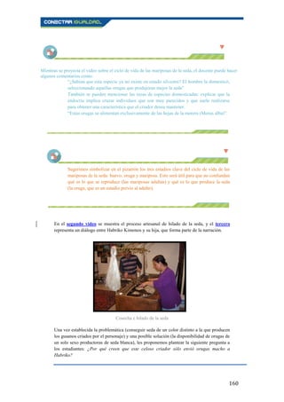 160
Mientras se proyecta el video sobre el ciclo de vida de las mariposas de la seda, el docente puede hacer
algunos comentarios como:
“¿Sabían que esta especie ya no existe en estado silvestre? El hombre la domesticó,
seleccionando aquellas orugas que produjeran mejor la seda”.
También se pueden mencionar las razas de especies domesticadas: explicar que la
endocría implica cruzar individuos que son muy parecidos y que suele realizarse
para obtener una característica que el criador desea mantener.
“Estas orugas se alimentan exclusivamente de las hojas de la morera (Morus alba)”.
Sugerimos simbolizar en el pizarrón los tres estadios clave del ciclo de vida de las
mariposas de la seda: huevo, oruga y mariposa. Esto será útil para que no confundan
qué es lo que se reproduce (las mariposas adultas) y qué es lo que produce la seda
(la oruga, que es un estadio previo al adulto).
En el segundo video se muestra el proceso artesanal de hilado de la seda, y el tercero
representa un diálogo entre Habriko Kimonos y su hija, que forma parte de la narración.
Cosecha e hilado de la seda
Una vez establecida la problemática (conseguir seda de un color distinto a la que producen
los gusanos criados por el personaje) y una posible solución (la disponibilidad de orugas de
un solo sexo productoras de seda blanca), les proponemos plantear la siguiente pregunta a
los estudiantes: ¿Por qué creen que este celoso criador sólo envió orugas macho a
Habriko?
 