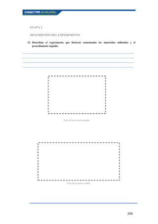 208
ETAPA 2
DESCRIPCIÓN DEL EXPERIMENTO
12. Describan el experimento que hicieron comentando los materiales utilizados y el
procedimiento seguido.
____________________________________________________________________________________
____________________________________________________________________________________
____________________________________________________________________________________
____________________________________________________________________________________
Foto de los resortes usados.
Foto de las pesas usadas.
 
