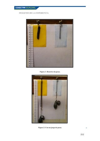 212
IMÁGENES DE LA EXPERIENCIA
Figura 1: Resortes sin pesas.
Figura 2: Con un juego de pesas.
 