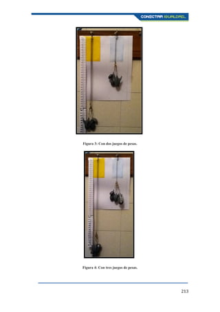 213
Figura 3: Con dos juegos de pesas.
Figura 4: Con tres juegos de pesas.
 