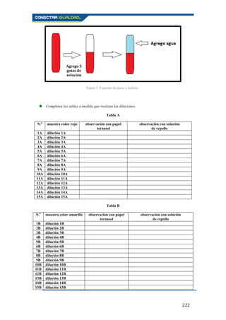 222
 Completen las tablas a medida que realizan las diluciones.
Tabla A
N.o
muestra color rojo observación con papel
tornasol
observación con solución
de repollo
1A dilución 1A
2A dilución 2A
3A dilución 3A
4A dilución 4A
5A dilución 5A
6A dilución 6A
7A dilución 7A
8A dilución 8A
9A dilución 9A
10A dilución 10A
11A dilución 11A
12A dilución 12A
13A dilución 13A
14A dilución 14A
15A dilución 15A
Tabla B
N.o
muestra color amarillo observación con papel
tornasol
observación con solución
de repollo
1B dilución 1B
2B dilución 2B
3B dilución 3B
4B dilución 4B
5B dilución 5B
6B dilución 6B
7B dilución 7B
8B dilución 8B
9B dilución 9B
10B dilución 10B
11B dilución 11B
12B dilución 12B
13B dilución 13B
14B dilución 14B
15B dilución 15B
Agrego 5
gotas de
solución
de
repollo
Figura 2. Esquema de pasos a realizar.
 