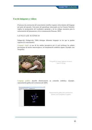 61
Uso de imágenes y vídeos
El proceso de construcción del conocimiento científico requiere cierto dominio del lenguaje
por parte del aprendiz. Gran parte del aprendizaje relacionado con las Ciencias Naturales
implica la incorporación del vocabulario apropiado y de los códigos necesarios para la
estructuración del pensamiento y de su comunicación (Soussan, 2003).
LENGUAJE ICÓNICO
Galagovsky (Galagovsky, 2004) distingue diferentes lenguajes en los que se pueden
expresar los conocimientos:
Lenguaje visual: es uno de los medios perceptivos por el cual recibimos las señales
provenientes de hechos macroscópicos, sin interpretación simbólica alguna. (Ejemplo: una
fotografía).
Lenguaje gráfico: describe dinámicamente un contenido simbólico. (Ejemplo:
representación gráfica de la estructura del ADN).
Representación gráfica de la molécula de
adenina con el programa Avogadro.
Fotografía de hongo Agaricus silvaticus.
Autor: H. Krisp.
 