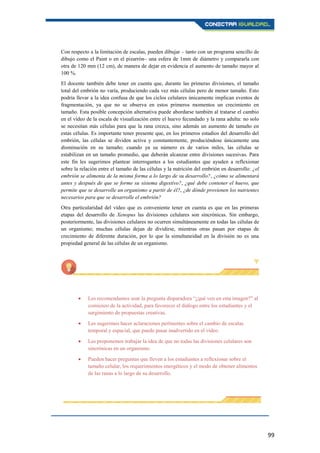 99
Con respecto a la limitación de escalas, pueden dibujar – tanto con un programa sencillo de
dibujo como el Paint o en el pizarrón– una esfera de 1mm de diámetro y compararla con
otra de 120 mm (12 cm), de manera de dejar en evidencia el aumento de tamaño mayor al
100 %.
El docente también debe tener en cuenta que, durante las primeras divisiones, el tamaño
total del embrión no varía, produciendo cada vez más células pero de menor tamaño. Esto
podría llevar a la idea confusa de que los ciclos celulares únicamente implican eventos de
fragmentación, ya que no se observa en estos primeros momentos un crecimiento en
tamaño. Esta posible concepción alternativa puede abordarse también al tratarse el cambio
en el vídeo de la escala de visualización entre el huevo fecundado y la rana adulta: no solo
se necesitan más células para que la rana crezca, sino además un aumento de tamaño en
estas células. Es importante tener presente que, en los primeros estadios del desarrollo del
embrión, las células se dividen activa y constantemente, produciéndose únicamente una
disminución en su tamaño; cuando ya su número es de varios miles, las células se
estabilizan en un tamaño promedio, que deberán alcanzar entre divisiones sucesivas. Para
este fin les sugerimos plantear interrogantes a los estudiantes que ayuden a reflexionar
sobre la relación entre el tamaño de las células y la nutrición del embrión en desarrollo: ¿el
embrión se alimenta de la misma forma a lo largo de su desarrollo?, ¿cómo se alimentará
antes y después de que se forme su sistema digestivo?, ¿qué debe contener el huevo, que
permite que se desarrolle un organismo a partir de él?, ¿de dónde provienen los nutrientes
necesarios para que se desarrolle el embrión?
Otra particularidad del vídeo que es conveniente tener en cuenta es que en las primeras
etapas del desarrollo de Xenopus las divisiones celulares son sincrónicas. Sin embargo,
posteriormente, las divisiones celulares no ocurren simultáneamente en todas las células de
un organismo; muchas células dejan de dividirse, mientras otras pasan por etapas de
crecimiento de diferente duración, por lo que la simultaneidad en la división no es una
propiedad general de las células de un organismo.
Les recomendamos usar la pregunta disparadora “¿qué ven en esta imagen?” al
comienzo de la actividad, para favorecer el diálogo entre los estudiantes y el
surgimiento de propuestas creativas.
Les sugerimos hacer aclaraciones pertinentes sobre el cambio de escalas
temporal y espacial, que puede pasar inadvertido en el vídeo.
Les proponemos trabajar la idea de que no todas las divisiones celulares son
sincrónicas en un organismo.
Pueden hacer preguntas que lleven a los estudiantes a reflexionar sobre el
tamaño celular, los requerimientos energéticos y el modo de obtener alimentos
de las ranas a lo largo de su desarrollo.
 
