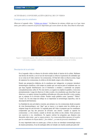 100
ACTIVIDAD 2: CONTEMPLACIÓN GRUPAL DE UN VIDEO
Consignas para los estudiantes
Observen el segundo vídeo, “Células por dentro”. Se filmaron las mismas células que en el que vimos
antes, pero ahora se muestra un proceso importante que ocurre dentro de ellas. Describan lo observado.
Descripción de la actividad
En el segundo vídeo se observa la división celular desde el interior de la célula. Mediante
una técnica de tinción y con el uso de microscopía se observa la presencia de entidades que
no se veían en el vídeo anterior: los cromosomas. Al final del vídeo se observa cómo, luego
de separarse los cromosomas, la célula se divide dando origen a dos células hijas.
Desde una perspectiva didáctica de la enseñanza por indagación, se propone introducir
terminologías científicas o del campo en estudio que son nuevas para el estudiante una vez
que haya logrado familiarizarse con el fenómeno a estudiar y construido sus propias
conceptualizaciones sobre él. Por este motivo, se sugiere no emplear la palabra cromosoma
prematuramente. Luego de observar el video se pide a los estudiantes que describan lo que
observan y se sugiere retomar las palabras utilizadas por ellos para describir a estos cuerpos
que se separan en la división celular. Pueden surgir palabras como “gusanos” “fideos”
“cosas” etc. En esta etapa de trabajo no es importante la terminología específica, sino la
descripción del fenómeno.
La finalidad de esta actividad es mostrar, por primera vez, los cromosomas desde un punto
de vista fenomenológico: son “algo” que se mueve y se reparte entre las células que se
originan luego de una división. La segunda parte del vídeo se propone que los estudiantes
comprendan que hay dos procesos de división: uno interno –cuando se separan los
cromosomas– y otro externo, cuando se divide una célula en dos células. Estos procesos
son sucesivos y no, simultáneos. Se sugiere realizar las preguntas que disparen esta
discusión, tales como: ¿qué se separa primero: los cromosomas/fideos/gusanos (el nombre
que los estudiantes les hayan dado)?, ¿las células?, ¿se trata de procesos simultáneos?
Es muy importante tener en cuenta que, si bien es clave no introducir terminología nueva
de manera prematura, el uso de analogías debe ser tomado con mucha cautela por parte del
Figura 3. Captura del segundo vídeo, en el que se muestran células animales en división. Mediante una tinción
con orceína, se pueden visibilizar los cromosomas y las membranas externas de la célula.
 