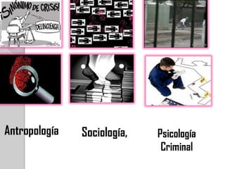 Antropología   Sociología,   Psicología
                              Criminal
 