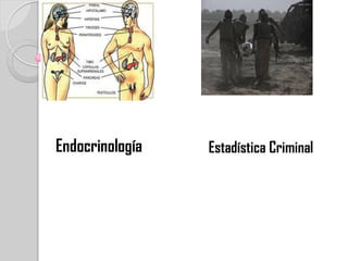 Endocrinología   Estadística Criminal
 