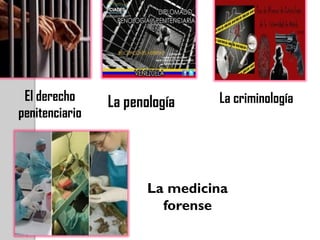 El derecho     La penología    La criminología
penitenciario




                       La medicina
                         forense
 
