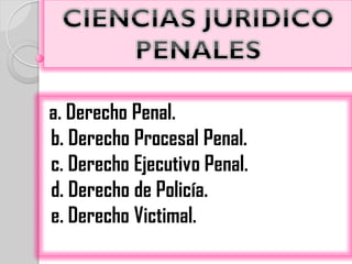 a. Derecho Penal.
b. Derecho Procesal Penal.
c. Derecho Ejecutivo Penal.
d. Derecho de Policía.
e. Derecho Victimal.
 