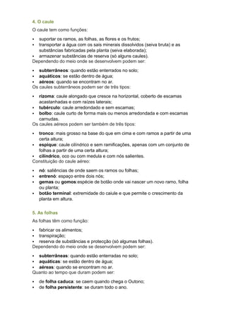 4. O caule
O caule tem como funções:
 suportar os ramos, as folhas, as flores e os frutos;
 transportar a água com os sais minerais dissolvidos (seiva bruta) e as
substâncias fabricadas pela planta (seiva elaborada);
 armazenar substâncias de reserva (só alguns caules).
Dependendo do meio onde se desenvolvem podem ser:
 subterrâneos: quando estão enterrados no solo;
 aquáticos: se estão dentro de água;
 aéreos: quando se encontram no ar.
Os caules subterrâneos podem ser de três tipos:
 rizoma: caule alongado que cresce na horizontal, coberto de escamas
acastanhadas e com raízes laterais;
 tubérculo: caule arredondado e sem escamas;
 bolbo: caule curto de forma mais ou menos arredondada e com escamas
carnudas.
Os caules aéreos podem ser também de três tipos:
 tronco: mais grosso na base do que em cima e com ramos a partir de uma
certa altura;
 espique: caule cilíndrico e sem ramificações, apenas com um conjunto de
folhas a partir de uma certa altura;
 cilíndrico, oco ou com medula e com nós salientes.
Constituição do caule aéreo:
 nó: saliências de onde saem os ramos ou folhas;
 entrenó: espaço entre dois nós;
 gemas ou gomos:espécie de botão onde vai nascer um novo ramo, folha
ou planta;
 botão terminal: extremidade do caiule e que permite o crescimento da
planta em altura.
5. As folhas
As folhas têm como função:
 fabricar os alimentos;
 transpiração;
 reserva de substâncias e protecção (só algumas folhas).
Dependendo do meio onde se desenvolvem podem ser:
 subterrâneas: quando estão enterradas no solo;
 aquáticas: se estão dentro de água;
 aéreas: quando se encontram no ar.
Quanto ao tempo que duram podem ser:
 de folha caduca: se caem quando chega o Outono;
 de folha persistente: se duram todo o ano.
 