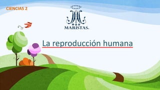 La reproducción humana
CIENCIAS 2
 