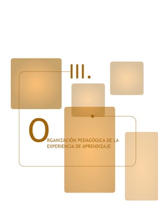 III.

O

RGANIZACIÓN PEDAGÓGICA DE LA
EXPERIENCIA DE APRENDIZAJE

 