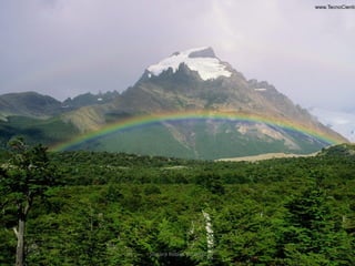 Silmara Robles Escorsin 