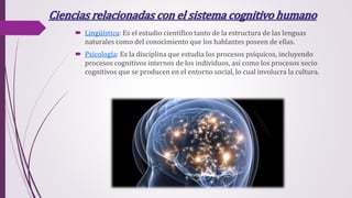 Ciencias relacionadas con el sistema cognitivo humano
 Lingüística: Es el estudio científico tanto de la estructura de las lenguas
naturales como del conocimiento que los hablantes poseen de ellas.
 Psicología: Es la disciplina que estudia los procesos psíquicos, incluyendo
procesos cognitivos internos de los individuos, así como los procesos socio
cognitivos que se producen en el entorno social, lo cual involucra la cultura.
 