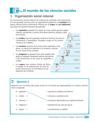 Ciencias Sociales y Formación Ciudadana − Semana 10 133
El mundo de las ciencias sociales
1. Organización social colonial
Ya conocimos la semana anterior las instituciones coloniales más importantes.
En este apartado veremos cómo se organizaba la población. La sociedad de la
época colonial estuvo fuertemente influida por el origen de sus habitantes,
que seguía el siguiente esquema de pirámide.
• Los españoles ocupaban los cargos de virrey, capitán general, gober-
nadores, presidentes y oidores de la Real Audiencia, obispos y altos
funcionarios.
• Los criollos, hijos de españoles nacidos en América. Eran los en-
comenderos y hacendados. Ocupaban cargos en los ayunta-
mientos y los cabildos.
• Los mestizos nacieron de la unión entre españoles e indí-
genas. La mayoría se dedicaba a la artesanía, carpinte-
ría, etc. Vivían en las ciudades.
• Los indígenas no poseían tierra, pero estaban obli-
gados a trabajarla. Realizaban labores domésticas
o de construcción en las casas de españoles y
criollos.
• Los negros eran esclavos traídos de África
a trabajar en las plantaciones de caña de
azúcar. Eran pocos y se convirtieron en tra-
bajadores de confianza.
negros
indígenas
mestizos
criollos
españoles
Ejercicio 1
Relacione con una línea cada grupo social con la función que desempeñaba en la época colonial.
Tiene un ejemplo.
0. españoles • • agricultura y labores domésticas
1. criollos • • artesanos, carpinteros, etc.
2. mestizos • • Virreinato, Real Audiencia y Capitanía General
3. indígenas • • plantaciones de caña de azúcar
4. negros • • ayuntamientos y cabildos
 