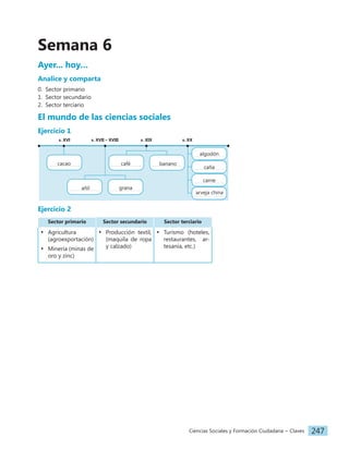 Ciencias Sociales y Formación Ciudadana − Claves 247
Semana 6
Ayer... hoy…
Analice y comparta
0. Sector primario
1. Sector secundario
2. Sector terciario
El mundo de las ciencias sociales
Ejercicio 1
s. XVII – XVIII
s. XVI s. XIX s. XX
algodón
caña
carne
cacao
añil grana
café banano
arveja china
Ejercicio 2
Sector primario Sector secundario Sector terciario
• Agricultura
(agroexportación)
• Minería (minas de
oro y zinc)
• Producción textil,
(maquila de ropa
y calzado)
• Turismo (hoteles,
restaurantes, ar-
tesanía, etc.)
 