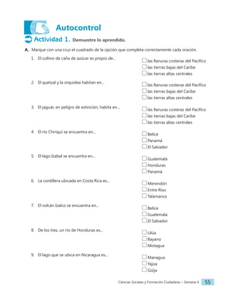 Ciencias Sociales y Formación Ciudadana − Semana 4 55
Autocontrol
Actividad 1. Demuestre lo aprendido.
A. Marque con una cruz el cuadrado de la opción que completa correctamente cada oración.
1. El cultivo de caña de azúcar es propio de...
2. El quetzal y la orquídea habitan en...
3. El jaguar, en peligro de extinción, habita en...
4. El río Chiriquí se encuentra en...
5. El lago Izabal se encuentra en...
6. La cordillera ubicada en Costa Rica es...
7. El volcán Izalco se encuentra en...
8. De los tres, un río de Honduras es...
9. El lago que se ubica en Nicaragua es...
las llanuras costeras del Pacífico
las tierras bajas del Caribe
las tierras altas centrales
Belice
Panamá
El Salvador
Guatemala
Honduras
Panamá
Merendón
Entre Ríos
Talamanca
Ulúa
Bayano
Motagua
Managua
Yajoa
Güija
Belice
Guatemala
El Salvador
las llanuras costeras del Pacífico
las tierras bajas del Caribe
las tierras altas centrales
las llanuras costeras del Pacífico
las tierras bajas del Caribe
las tierras altas centrales
 