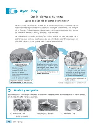 IGER − Quiriguá
74
Ayer... hoy...
De la tierra a su taza
¿Sabe qué son los sectores económicos?
La producción de azúcar es una de las actividades agrícolas, industriales y co-
merciales más importantes de Guatemala. Su origen se remonta a los tiempos
de la Colonia. En la actualidad, Guatemala es el tercer exportador más grande
de azúcar de América Latina y el sexto a nivel mundial.
La producción y comercialización de azúcar abarca los tres sectores de la
economía, que son una clasificación de las actividades económicas según los
procesos de producción que se dan. Observe atentamente:
El proceso agrícola pertenece al
sector primario de la economía.
Esta fase incluye:
• preparación de la tierra
• siembra de la caña
• riego, control de malezas y
fertilización
• corte de la cosecha o zafra
proceso agrícola
El proceso industrial pertenece al
sector secundario.
Esta fase tiene como fin proce-
sar la caña para producir azúcar
de distintos tipos: blanca, mo-
rena, refinada, etc.
proceso industrial
El proceso comercial pertenece al
sector terciario.
La mayor parte del azúcar
producida se vende en el mer-
cado internacional. Otra parte
se comercializa localmente.
proceso comercial
Tomado y adaptado de www.pantaleon.com
Analice y comparta
Escriba sobre la línea a qué sector de la economía pertenecen las actividades que se llevan a cabo
en el ciclo del café. Tiene un ejemplo.
0. Cultivo de café 2. Venta de café
1. Despulpado de café
sector primario
 
