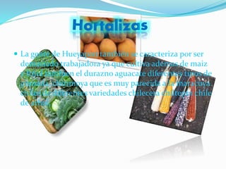  La gente de Hueyapan también se caracteriza por ser
demasiado trabajadora ya que cultiva ademas de maiz
y frijol tambien el durazno aguacate diferentes tipos de
granada, chirimoya que es muy parecida a la maracuya
chiles de diferentes variedades chilecera chiltepín chile
de arbol,
 