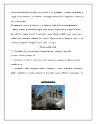 ocurren simultáneamente de forma que conforme se van produciendo elementos estructurales y
energía en el catabolismo, esos elementos se usan para formar nuevos componentes celulares en
procesos anabólicos.
Un ejemplo de este tipo de oxidación es la Oxidación de los ácidos grasos (metabolismo).
También se utiliza la oxidación biológica en los procesos de purificación de aguas residuales.
La oxidación biológica consiste en suministrar oxígeno al agua residual en unos tanques cuyo
volumen está previamente calculado para mantener el agua durante un tiempo de cuando menos
ocho horas, regulando el oxigeno disuelto entre 1 a 3 Mg/Lt.
Riesgos para la salud:
de persona a persona: Personal sanitario, personal de seguridad,
docentes, servicios públicos, etc.
zoonosis): Veterinarios, ganaderos, industrias lácteas,
mataderos, etc.
objetos o material contaminado: Personal de limpieza, saneamiento
público, agricultores, cocineros, industrias de lana, pieles y cuero, industria biotecnológica, etc.
Oxidación térmica
 
