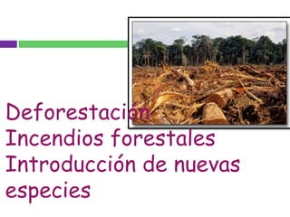 DeforestaciónIncendiosforestalesIntroducción de nuevasespecies 