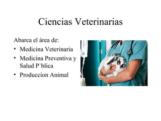 Ciencias Veterinarias
Abarca el área de:
• Medicina Veterinaria
• Medicina Preventiva y
  Salud Pública
• Produccíon Animal
 