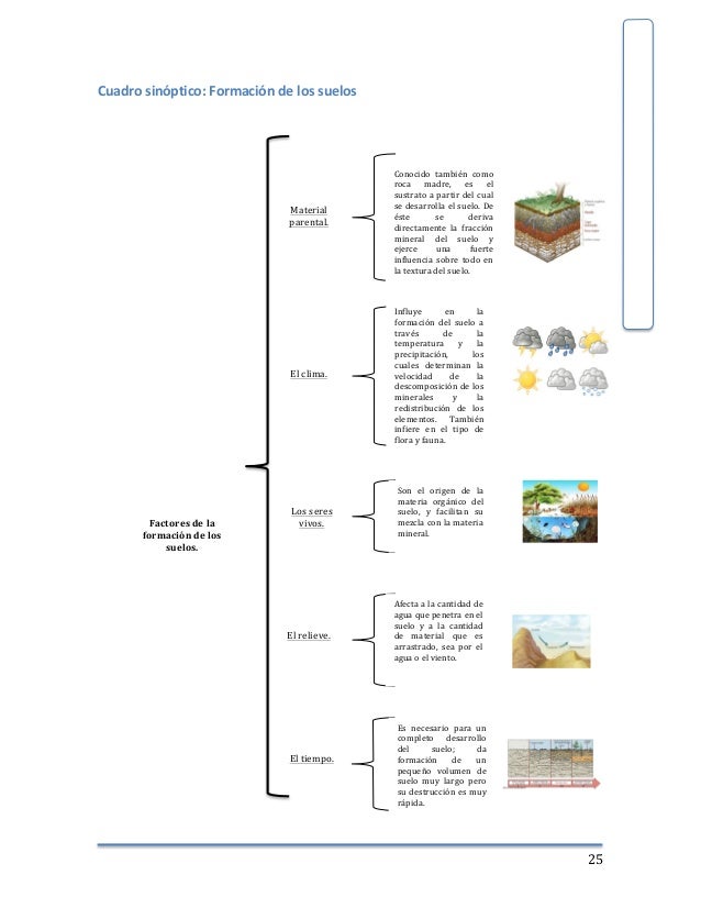 Cómo Hacer Un Cuadro Sinóptico De Las Regiones Naturales