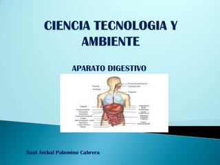 CIENCIA TECNOLOGIA Y AMBIENTE APARATO DIGESTIVO Raúl Aníbal Palomino Cabrera 