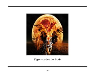 Tigre voador do Buda



         36
 