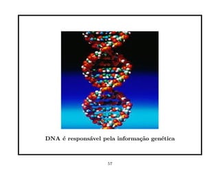 DNA ´ respons´vel pela informa¸˜o gen´tica
    e        a                ca     e



                    57
 