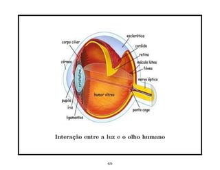 Intera¸˜o entre a luz e o olho humano
      ca



                 69
 