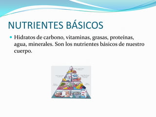 NUTRIENTES BÁSICOSHidratos de carbono, vitaminas, grasas, proteínas, agua, minerales. Son los nutrientes básicos de nuestro cuerpo.