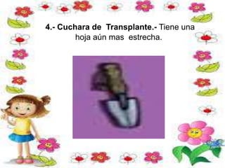 4.- Cuchara de Transplante.- Tiene una
hoja aún mas estrecha.
 