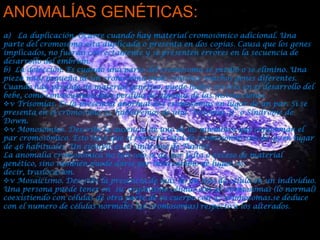 ANOMALÍAS GENÉTICAS:
a) La duplicación. Ocurre cuando hay material cromosómico adicional. Una
parte del cromosoma esta duplicada o presenta en dos copias. Causa que los genes
implicados, no fueran correctamente y se presenten errores en la secuencia de
desarrollo del embrión.
b) La delección. Es cuando una parte del cromosoma se perdió o se elimino. Una
pieza muy pequeña de un cromosoma pude contener muchos genes diferentes.
Cuando hay perdida de material genético, puede haber errores en el desarrollo del
bebe, como consecuencia dela perdida de algunas de las instrucciones.
v Trisomías. Es la presencia anormal de3 cromosomas en lugar de un par. Si se
presenta en el cromosoma 21, hablaremos de una “trisomía 21” o Síndrome de
Down.
v Monosomias. Describe la ausencia de uno de los miembros que conforman el
par cromosómico. Esto hace que el número total de cromosomas sea de 45 en lugar
de 46 habituales. Un ejemplo es el Síndrome de Turner.
La anomalía cromosómica no tan solo se da por falta o exceso de material
genético, sino también puede darse por intercambio de lugar, es
decir, traslocasion.
v Mosaicismo. Describe la presencia de más de un tipo de célula en un individuo.
Una persona puede tener en su organismo células con 46 cromosomas (lo normal)
coexistiendo con células de otra parte de su cuerpo con 47 cromosomas.se deduce
con el numero de células normales (46 cromosomas) respecto a los alterados.

 