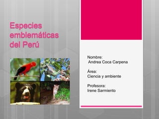 Nombre:
Andrea Coca Carpena
Área:
Ciencia y ambiente
Profesora:
Irene Sarmiento
 