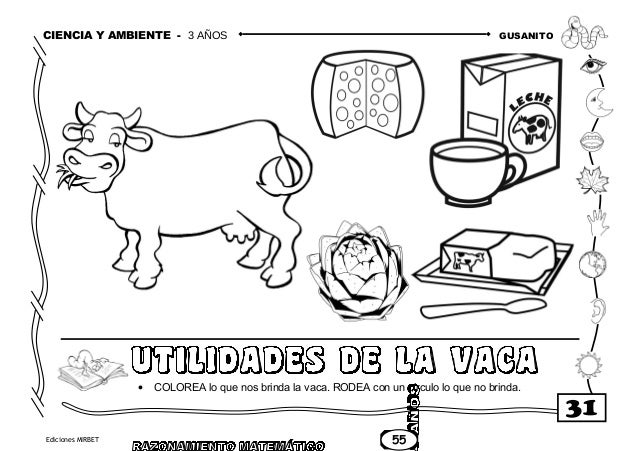 Alimentos De Origen Animal Para Colorear
