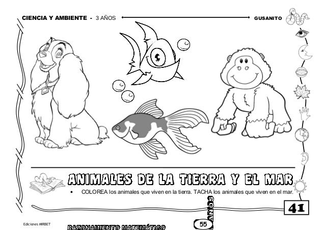 Ciencia Y Ambiente 3 Anos