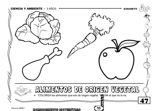 imagenes de alimentos de origen vegetal para colorear imagenes de