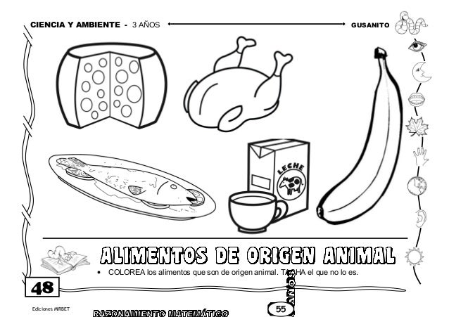 Alimentos De Origen Animal Para Colorear