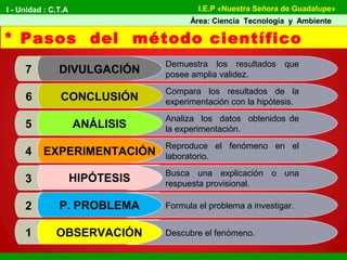 * Pasos del método científico
OBSERVACIÓN
P. PROBLEMA
HIPÓTESIS
EXPERIMENTACIÓN
ANÁLISIS
CONCLUSIÓN
DIVULGACIÓN
1
2
3
4
5
6
7
Descubre el fenómeno.
Formula el problema a investigar.
Busca una explicación o una
respuesta provisional.
Reproduce el fenómeno en el
laboratorio.
Analiza los datos obtenidos de
la experimentación.
Compara los resultados de la
experimentación con la hipótesis.
Demuestra los resultados que
posee amplia validez.
I - Unidad : C.T.A
Área: Ciencia Tecnología y Ambiente
I.E.P «Nuestra Señora de Guadalupe»
 