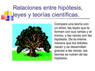Relaciones entre hipótesis,
leyes y teorías científicas.
Compara una teoría con
un árbol, las leyes que la
forman con sus ramas y el
tronco, y las raíces con las
hipótesis. De la misma
manera que los árboles
nacen y se desarrollan
gracias a las raíces, las
teorías se nutren de las
hipótesis.

 