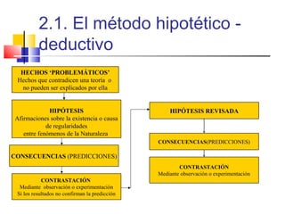 2.1. El método hipotético deductivo
HECHOS ‘PROBLEMÁTICOS’
Hechos que contradicen una teoría o
no pueden ser explicados por ella

HIPÓTESIS
Afirmaciones sobre la existencia o causa
de regularidades
entre fenómenos de la Naturaleza

HIPÓTESIS REVISADA

CONSECUENCIAS(PREDICCIONES)

CONSECUENCIAS (PREDICCIONES)
CONTRASTACIÓN
Mediante observación o experimentación
CONTRASTACIÓN
Mediante observación o experimentación
Si los resultados no confirman la predicción

 