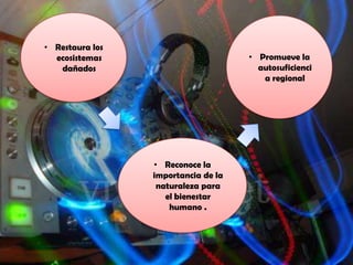 • Restaura los
  ecosistemas                        • Promueve la
   dañados                             autosuficienci
                                        a regional




                 • Reconoce la
                 importancia de la
                  naturaleza para
                    el bienestar
                     humano .
 